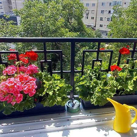 33 Coquette Apartment バイア·マーレ エクステリア 写真