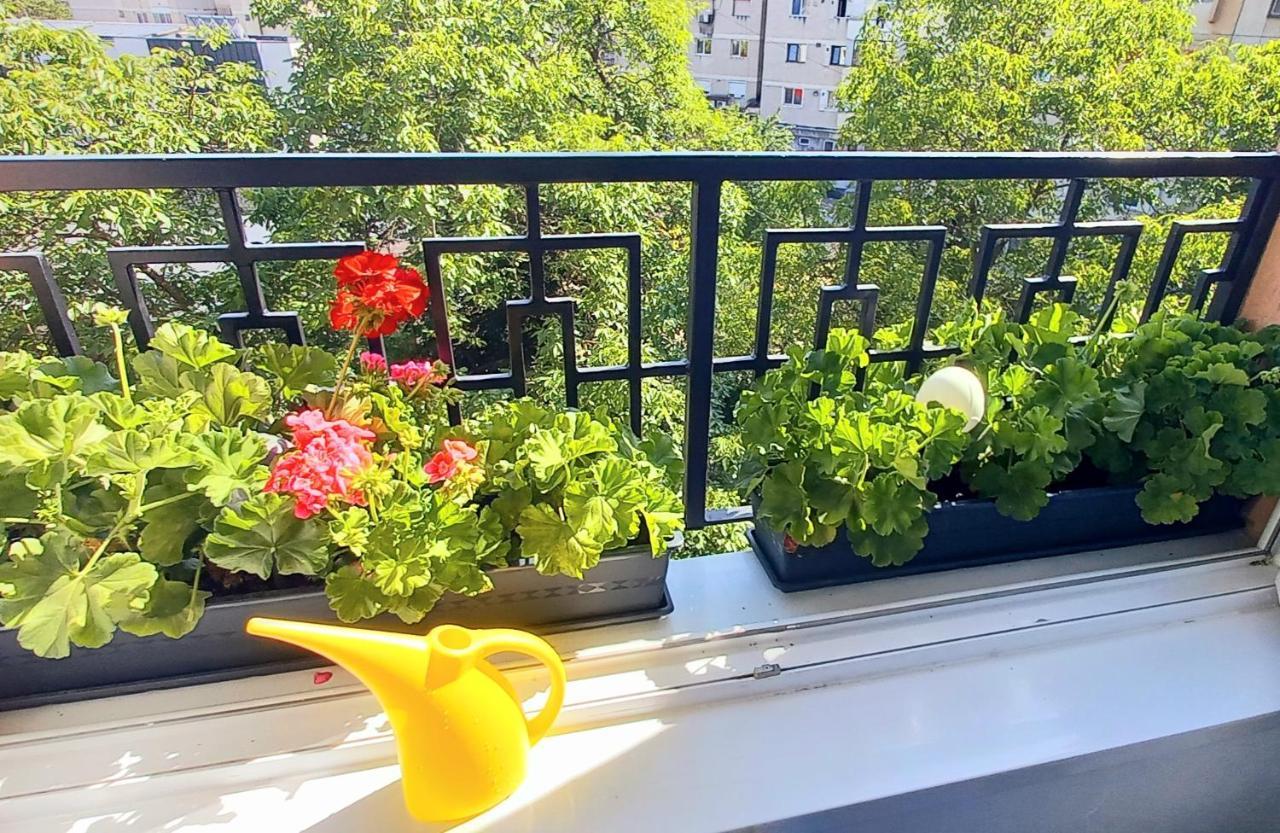 33 Coquette Apartment バイア·マーレ エクステリア 写真