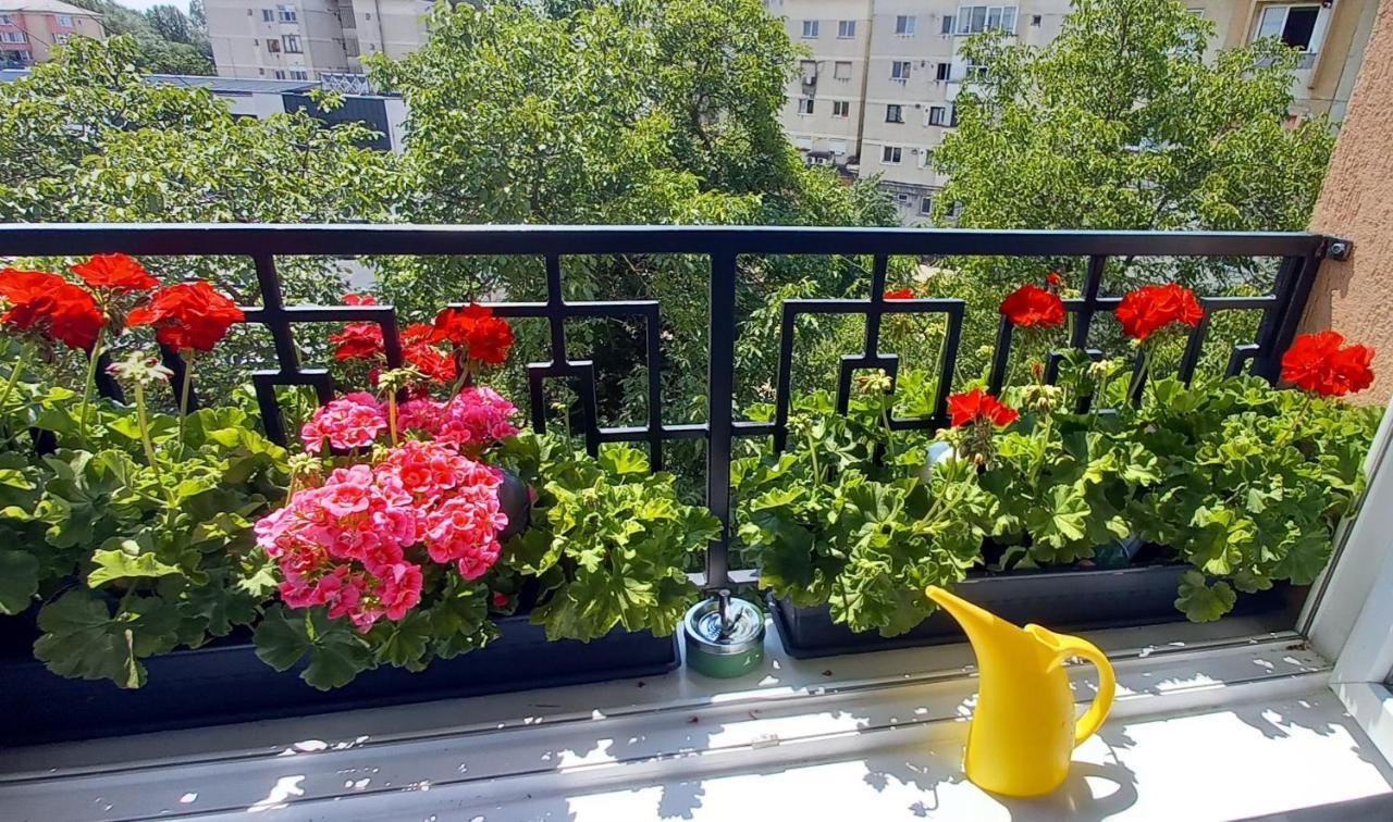 33 Coquette Apartment バイア·マーレ エクステリア 写真