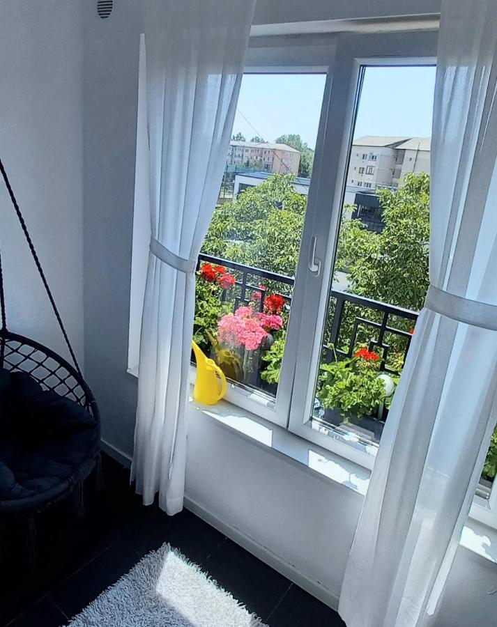 33 Coquette Apartment バイア·マーレ エクステリア 写真